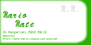 mario mate business card
